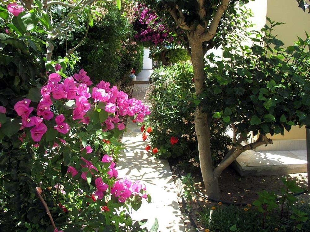 Rododafni Villas Klorakas Exterior foto