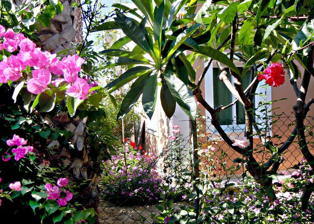 Rododafni Villas Klorakas Exterior foto