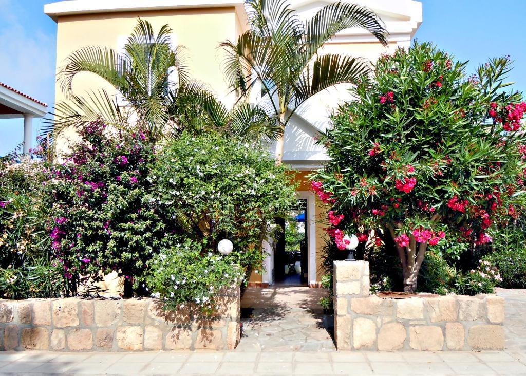 Rododafni Villas Klorakas Habitación foto